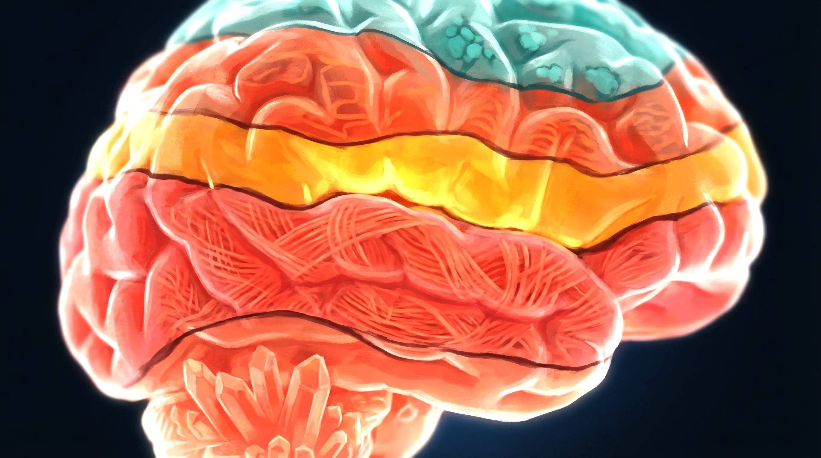 Your Brain Isn't Fully Grown Until 32 and That Changes Everything