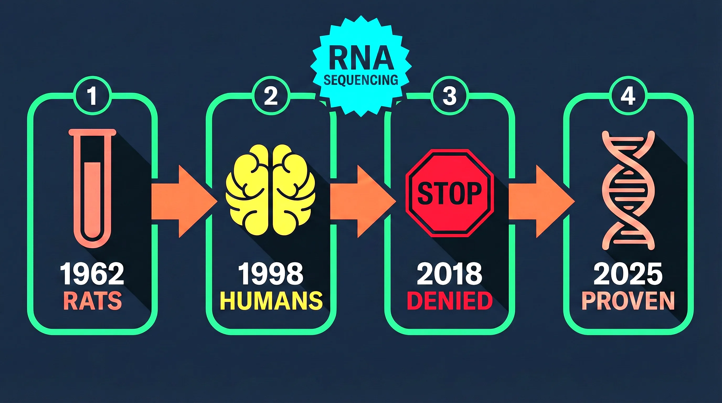 The 60-year debate over adult neurogenesis