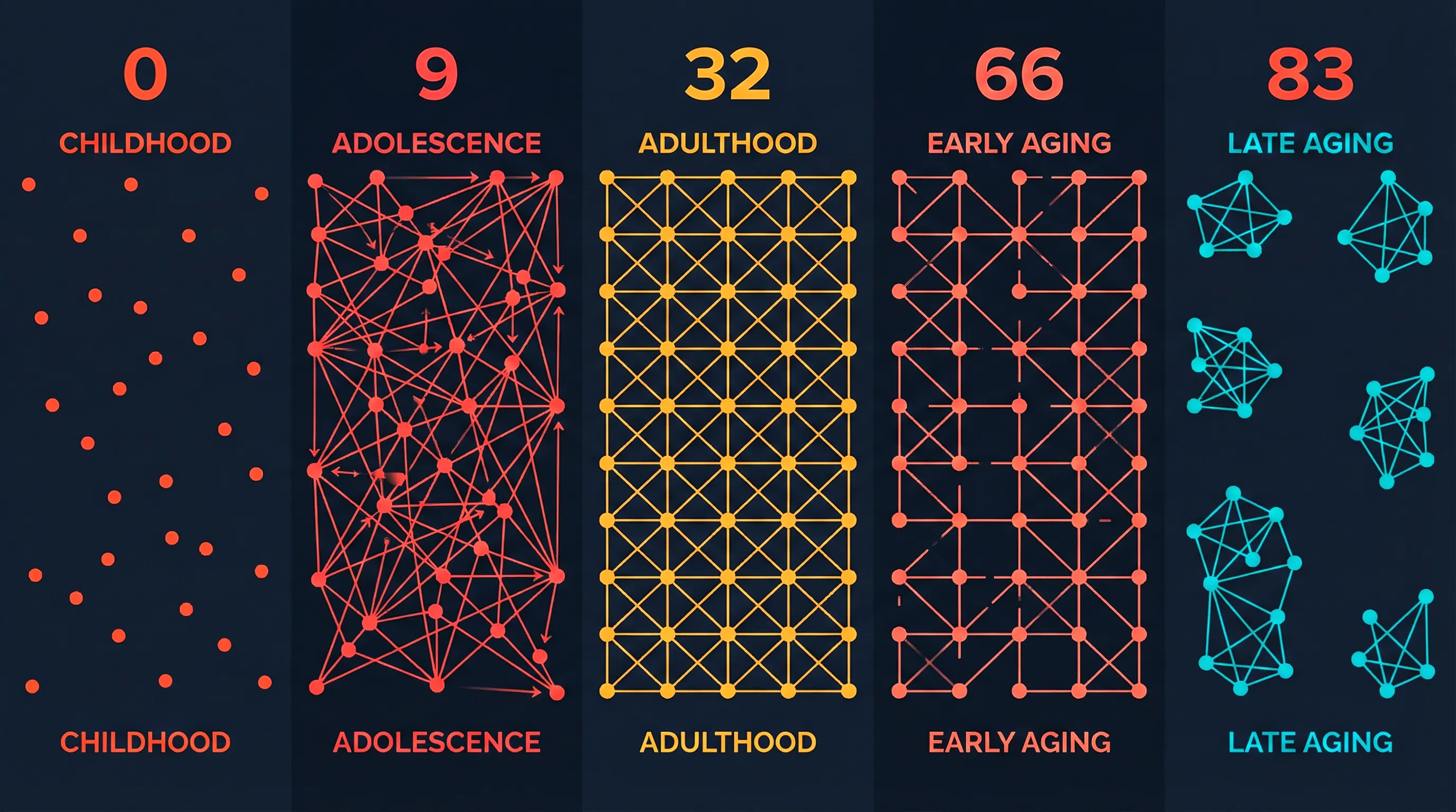The five eras of your brain mapped across the lifespan
