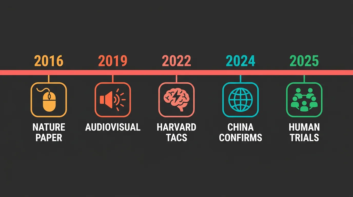 Timeline of 40Hz gamma stimulation research from mice to humans