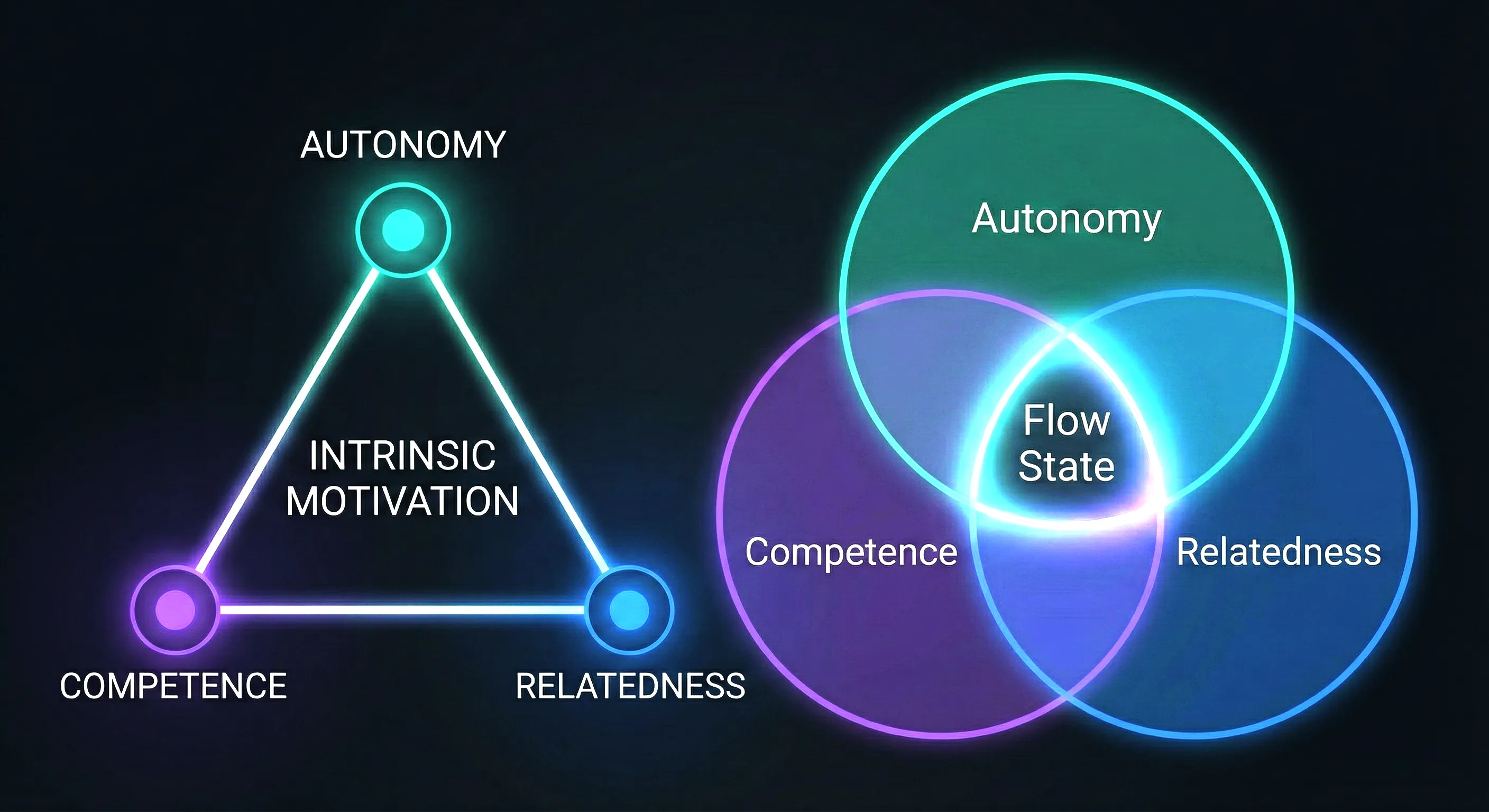 The three psychological needs that drive lasting motivation