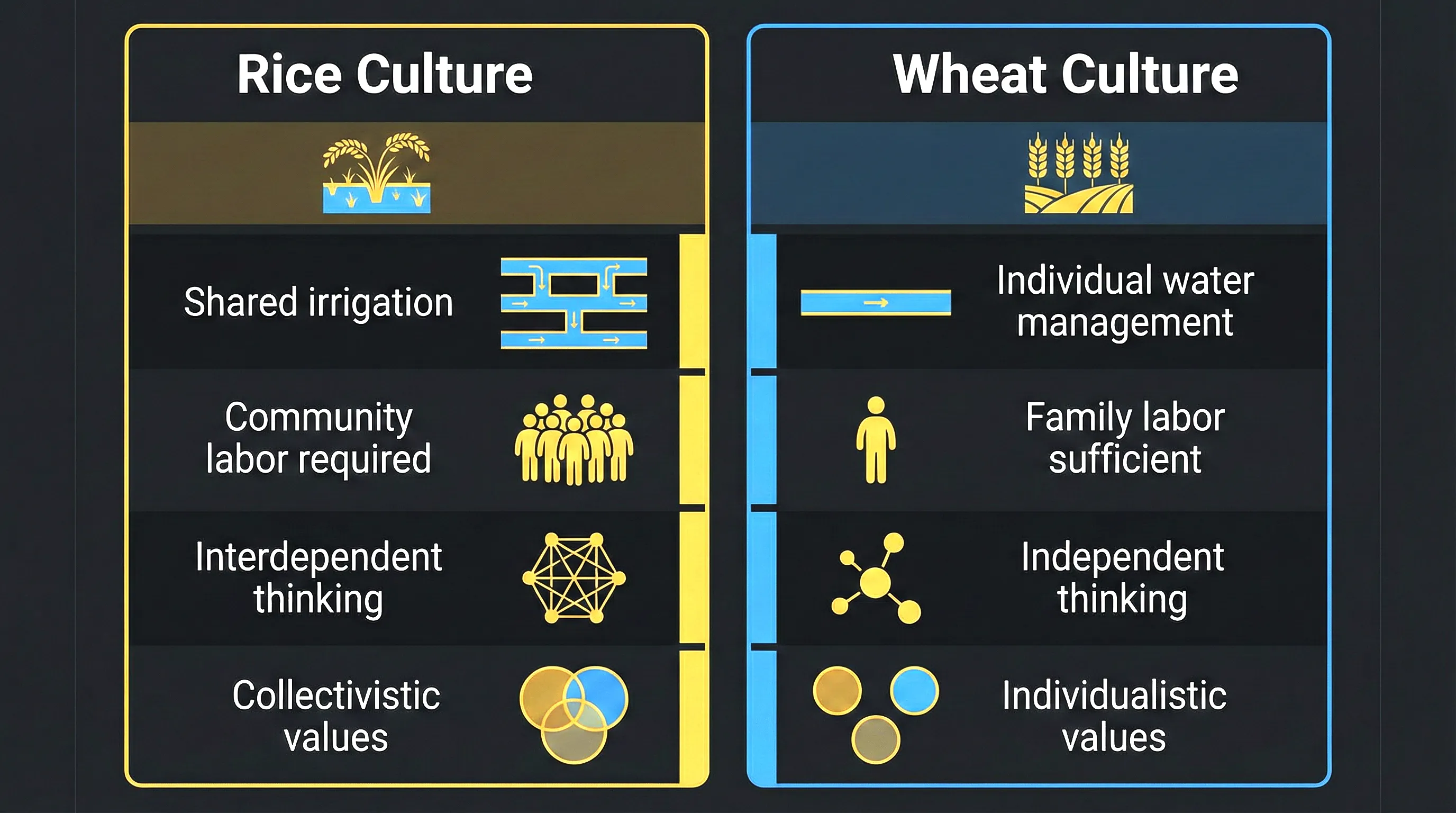 Infographic showing rice versus wheat farming theory and its impact on cultural psychology