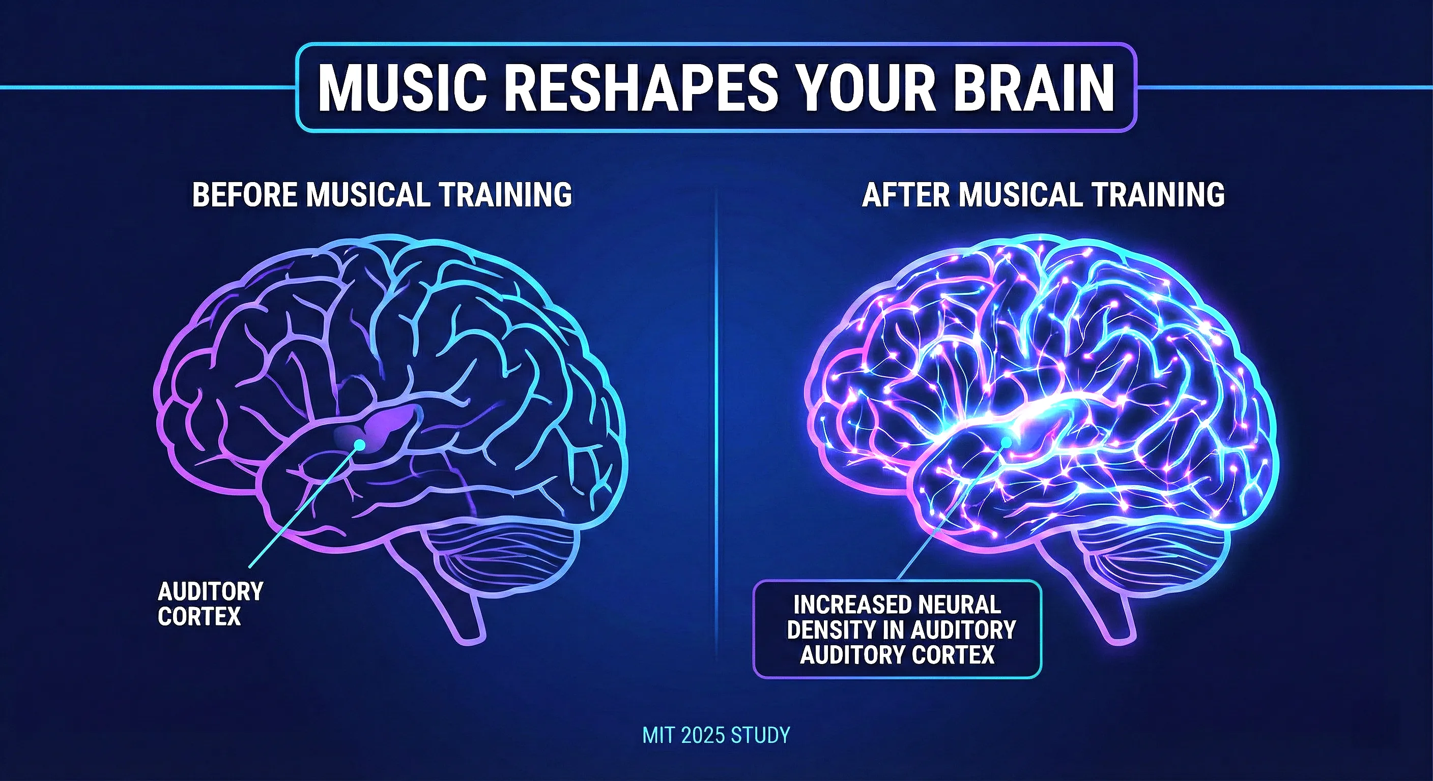 Personality traits mapped to music preferences