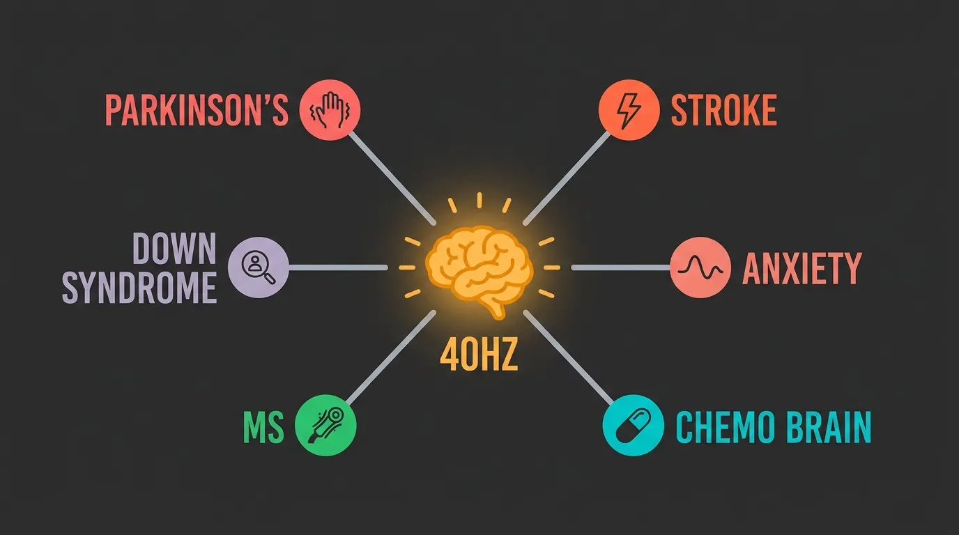 Future directions for 40Hz gamma stimulation research