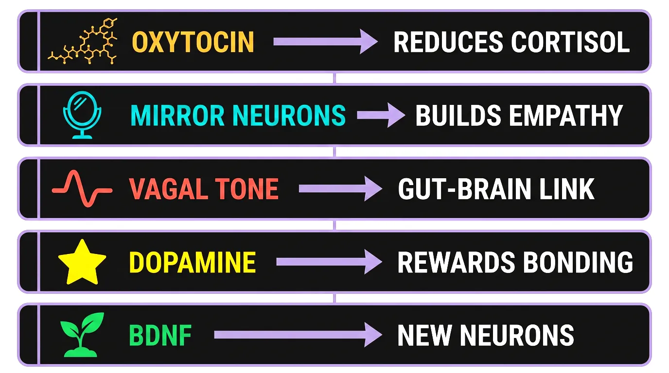 Why social connection is essential brain medicine
